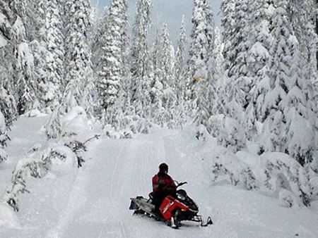 Snowmobile Extravaganza